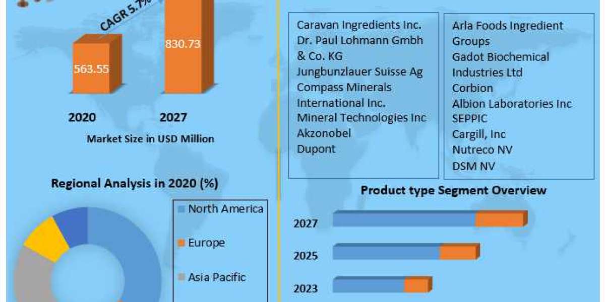 Mineral Salt Ingredients Market Size, Growth Opportunities, Business Outlook, Leading Players and Forecast to 2022-2030