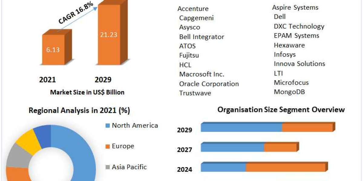 Pharmaceutical Excipients Market  Size Outlook, Estimates & Trend Analysis 2029