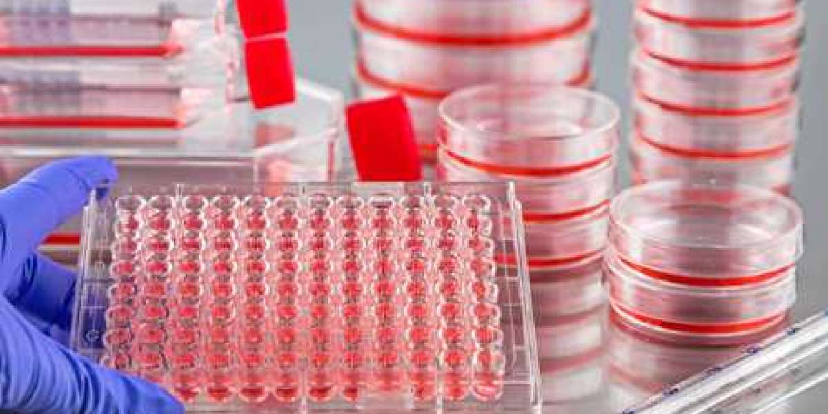Cell Culture Media Market Research Provides In-Depth Detailed Analysis of Trends and Forecast