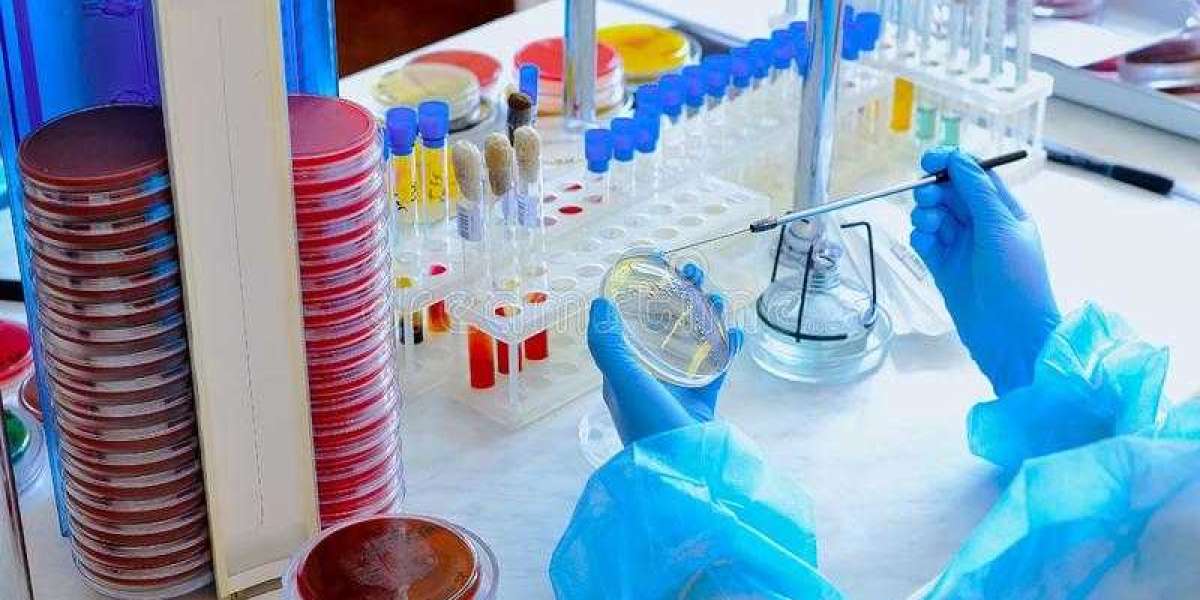 Rapid Microbiology Testing Market – Current Trends and Global Forecast 2026