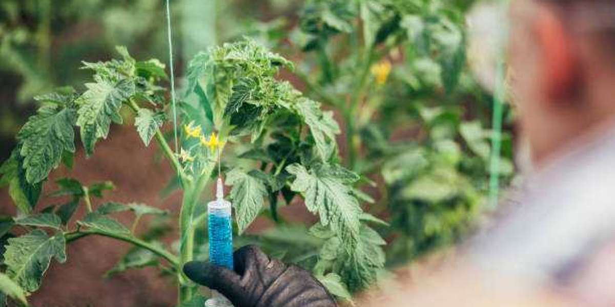 Biorational Pesticides Market Share, Sales, Price, Revenue Growth, Size & Share, Research Report forecast year 2028