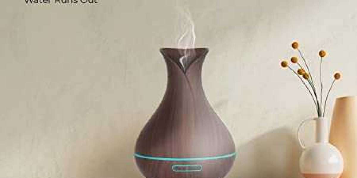 The Best Electric Aroma Diffuser For Your Home