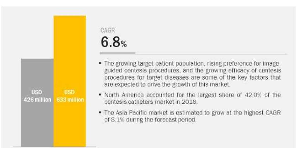 Centesis Catheters Market Worth $633 Million by 2025 - Exclusive Report by MarketsandMarkets™