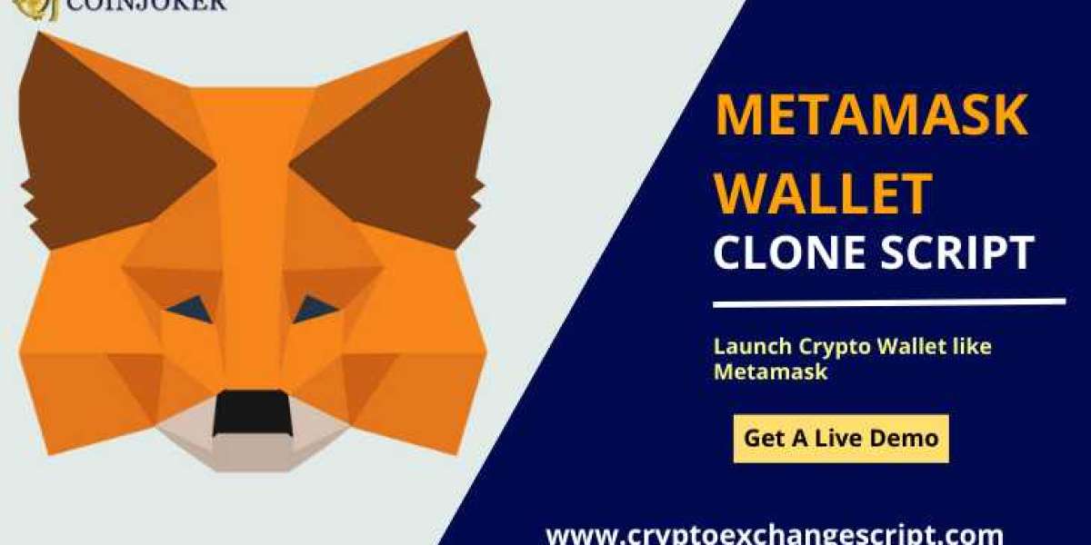 Planning to do business on a metamask wallet clone? This article will help you