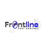 Frontline Wasp Removal Brisbane