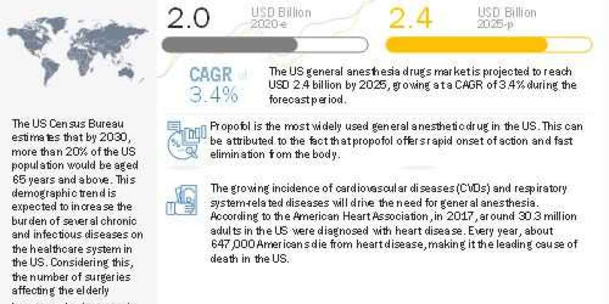 An Overview of the Competitive Landscape of the US General Anesthesia Drugs Market