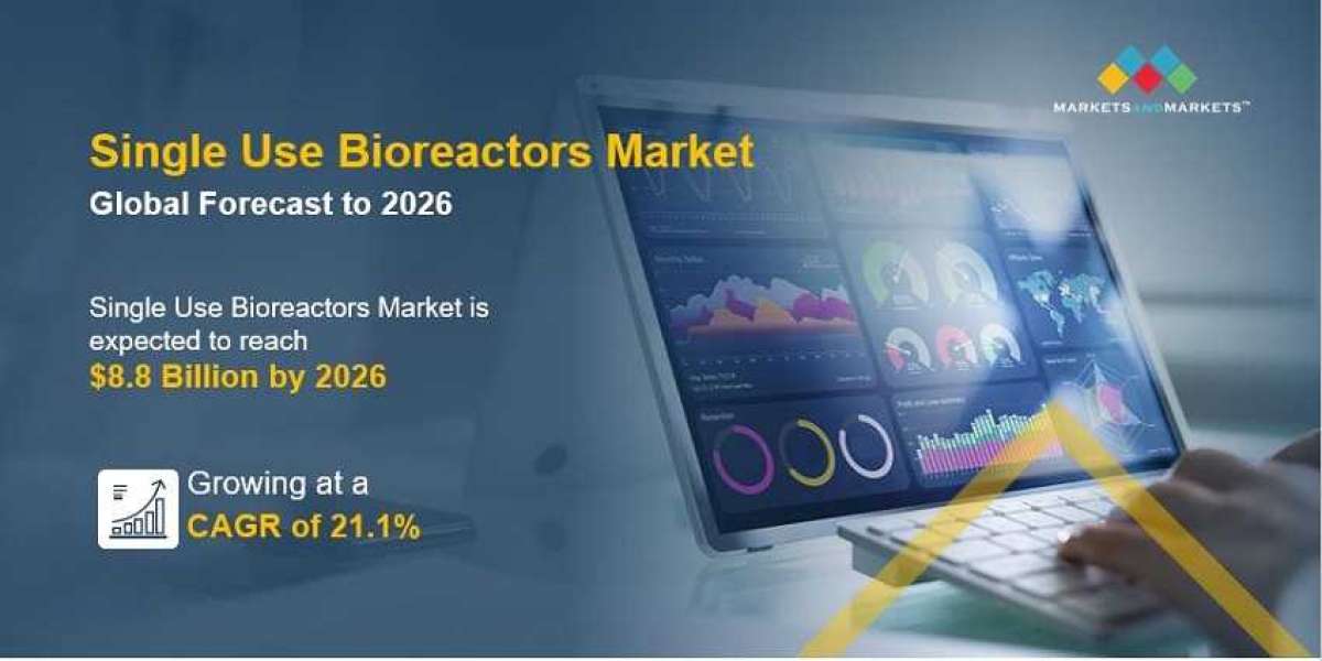 Single Use Bioreactors Market Market Analysis: Growth Drivers and Opportunities