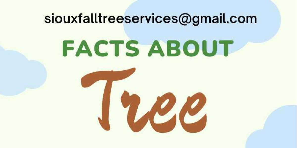Facts About Trees [Infographic]