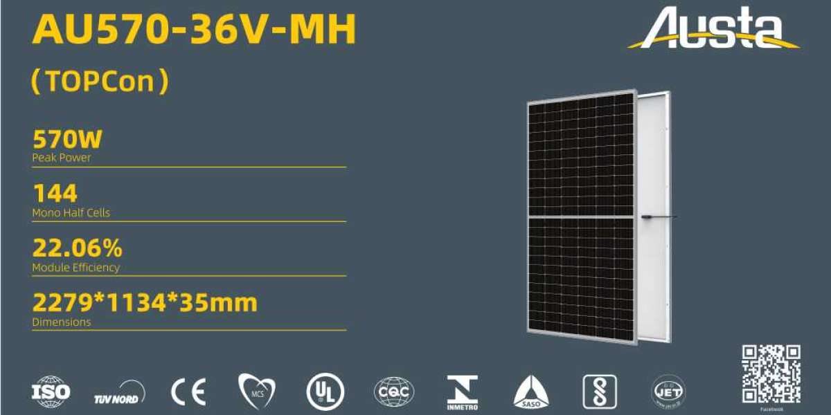 Topcon photovoltaic module introduction