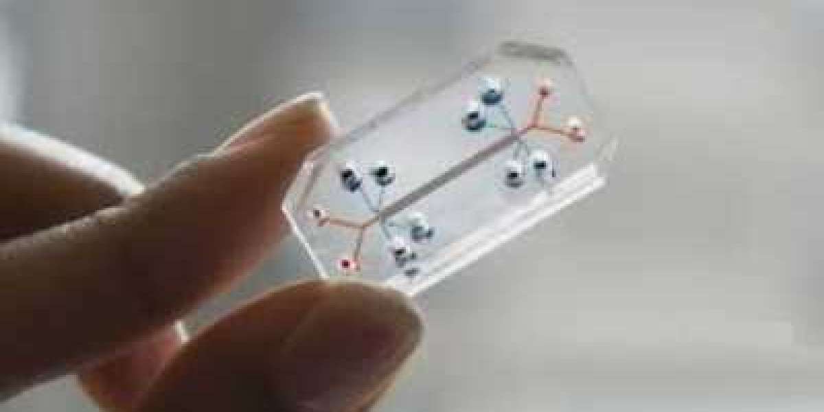 Organs on Chips Market Size Growing at 28.1% CAGR Set to Reach USD 125.7 Million By 2028