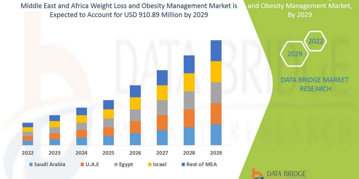 Middle East and Africa Weight Loss and Obesity Management Market Size and Outlook 2022 | Key Companies