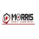 Morris Bee Removal Adelaide