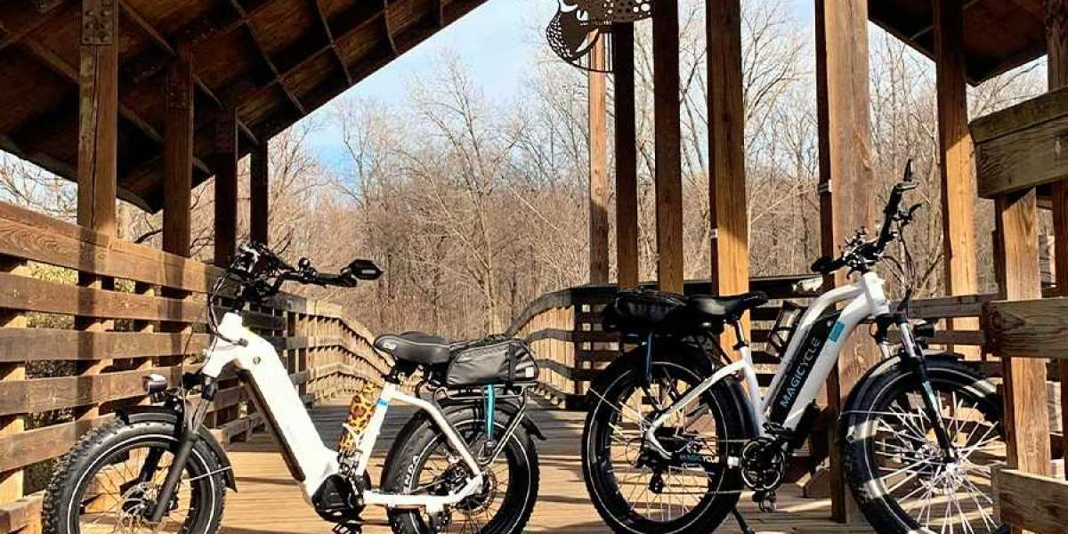 What Are the Best Step-Thru Electric Bikes in 2023?