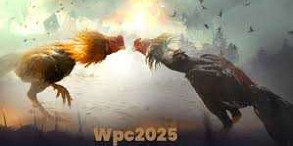 All You Need To Know About WPC2025 Live, Login