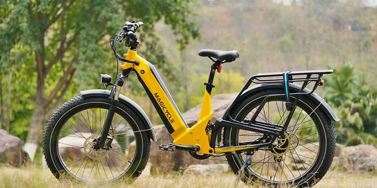 What Are the Advantages of a Fat Tire Electric Bike?