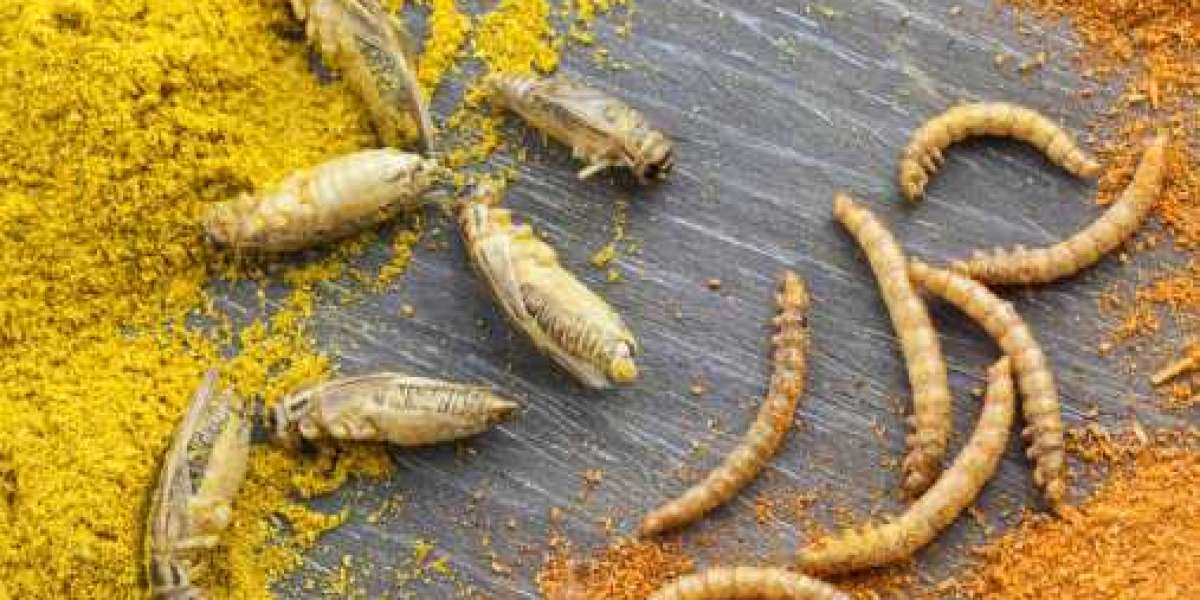 Insect Protein Market Research Report by Form, Applications, End-user, Region - Global Forecast to 2027