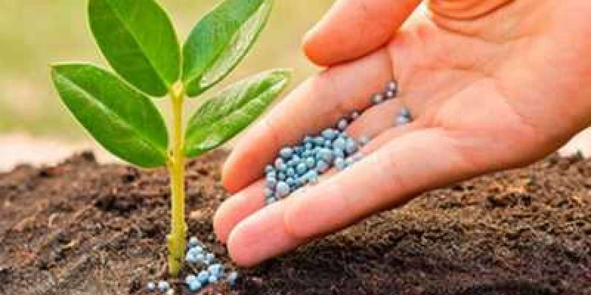 Agricultural Micronutrients Market Size Growing at 8.1% CAGR Set to Reach USD 6,250.24 Million By 2028