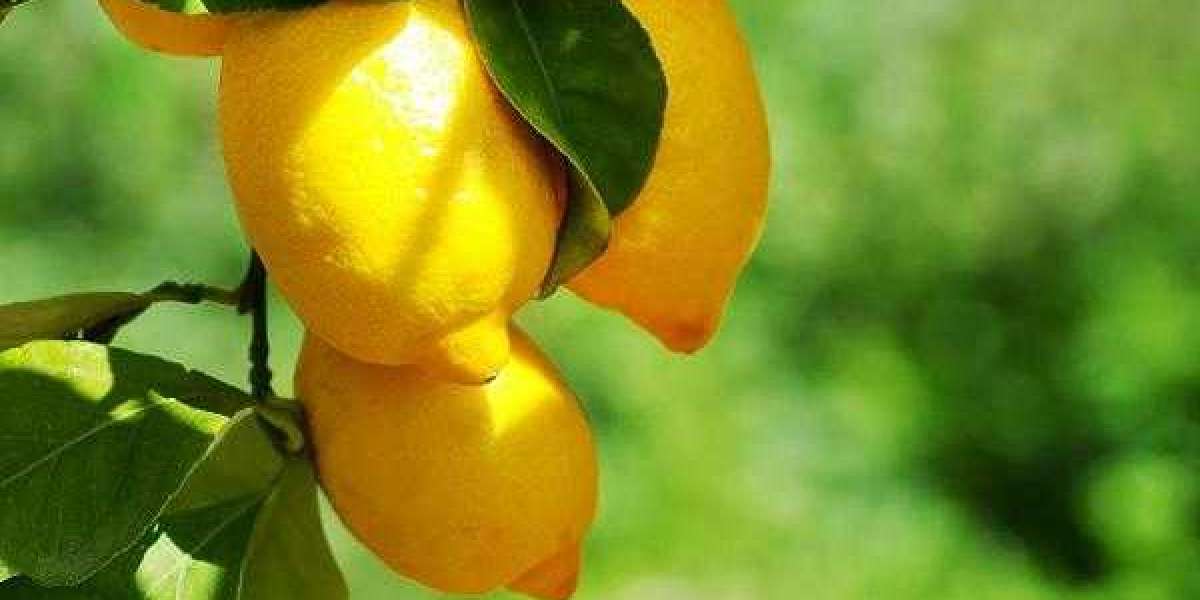 Limonin Market Size, Share, Analysis