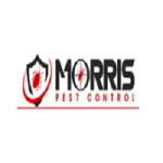 Morris Bee Removal Sydney