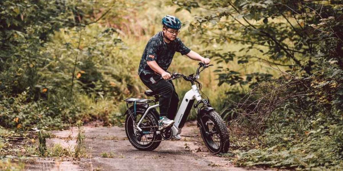 Jaguarundi and Ocelot Pro – Best Step Thru Ebikes from Magicycle