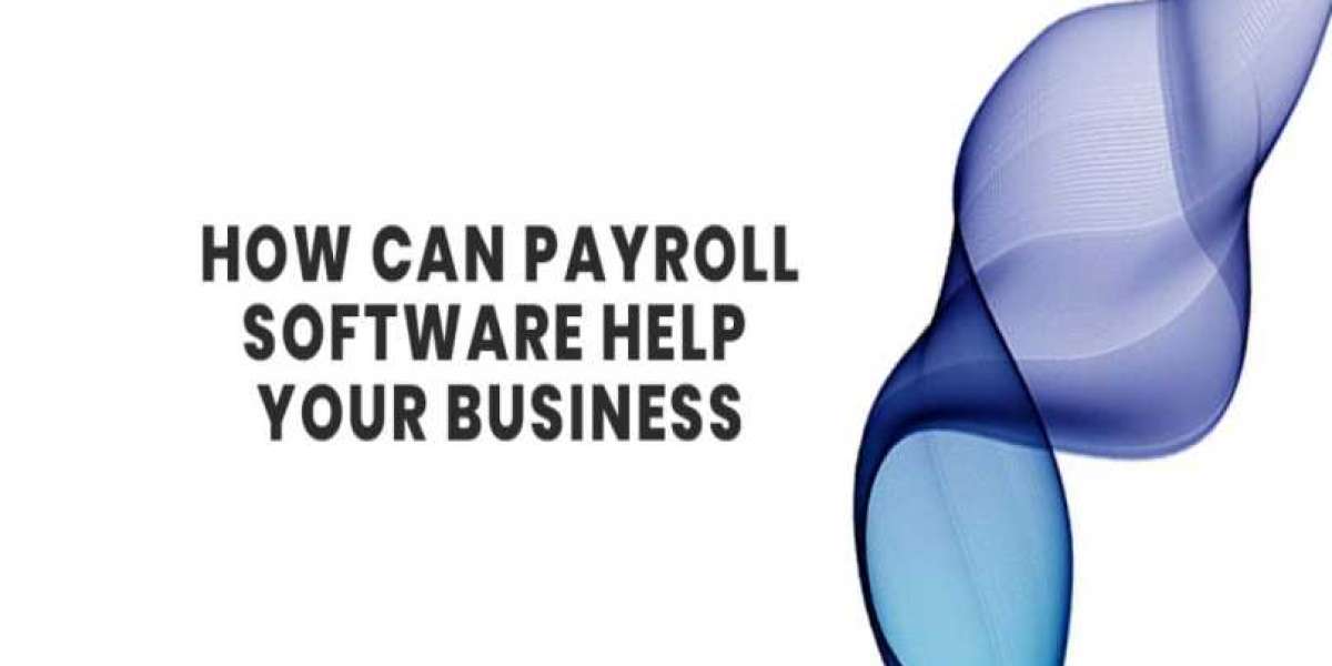 How can payroll software help your business?