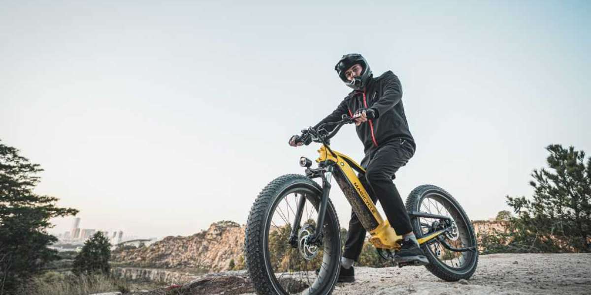 Tips for Riding a Fat Tire Electric Bike on The Mountain