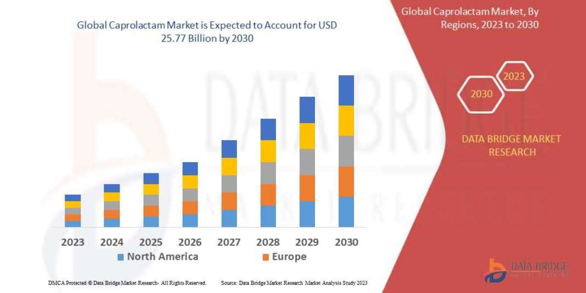 Key Factors Driving Growth in the Caprolactam Market: Opportunities, Challenges, and Future Trends