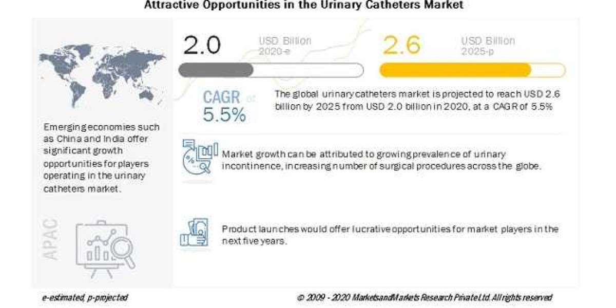 Urinary Catheters Market: Growing prevalence of urinary incontinence