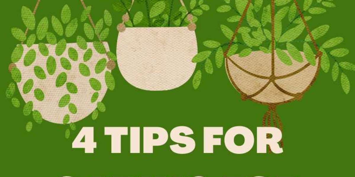 4 Tips for Caring for Trees [Infographic]