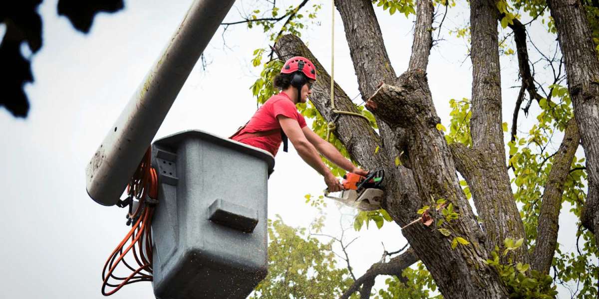 The Complete Guide to Buying Arborist Business Management Software