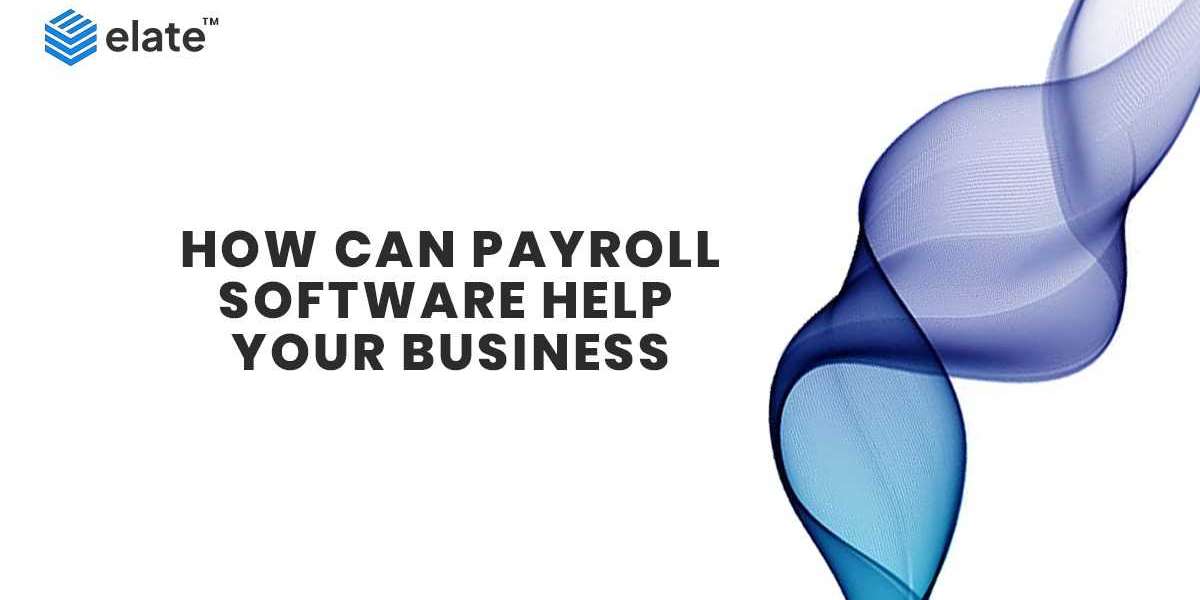How can payroll software help your business?