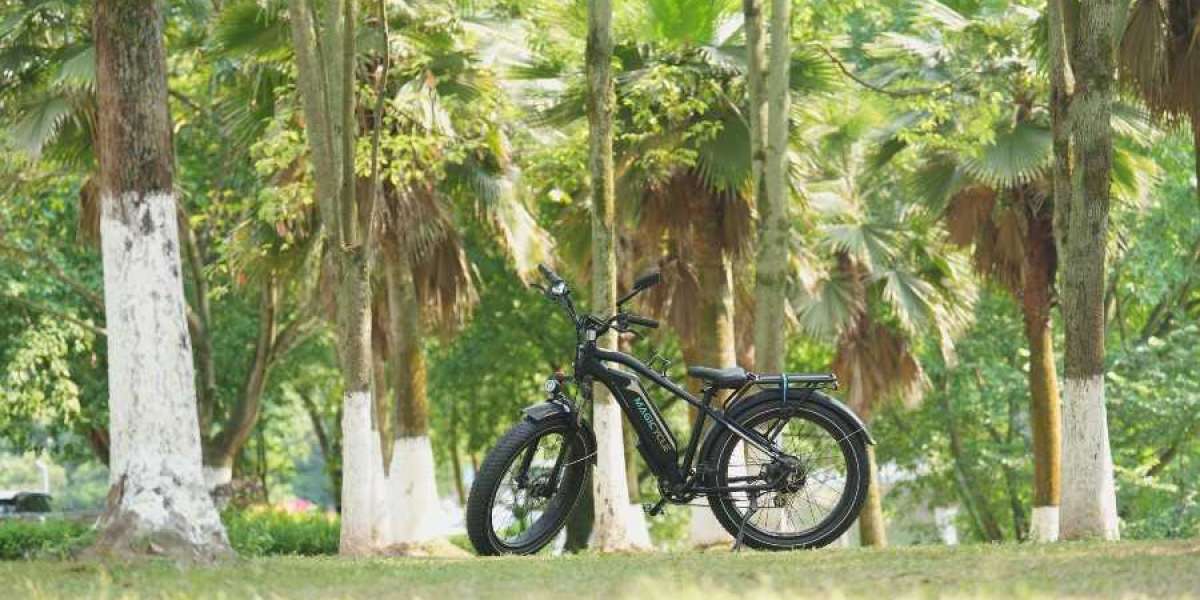 How A Softail Electric Mountain Bike Changed Collins’ Life