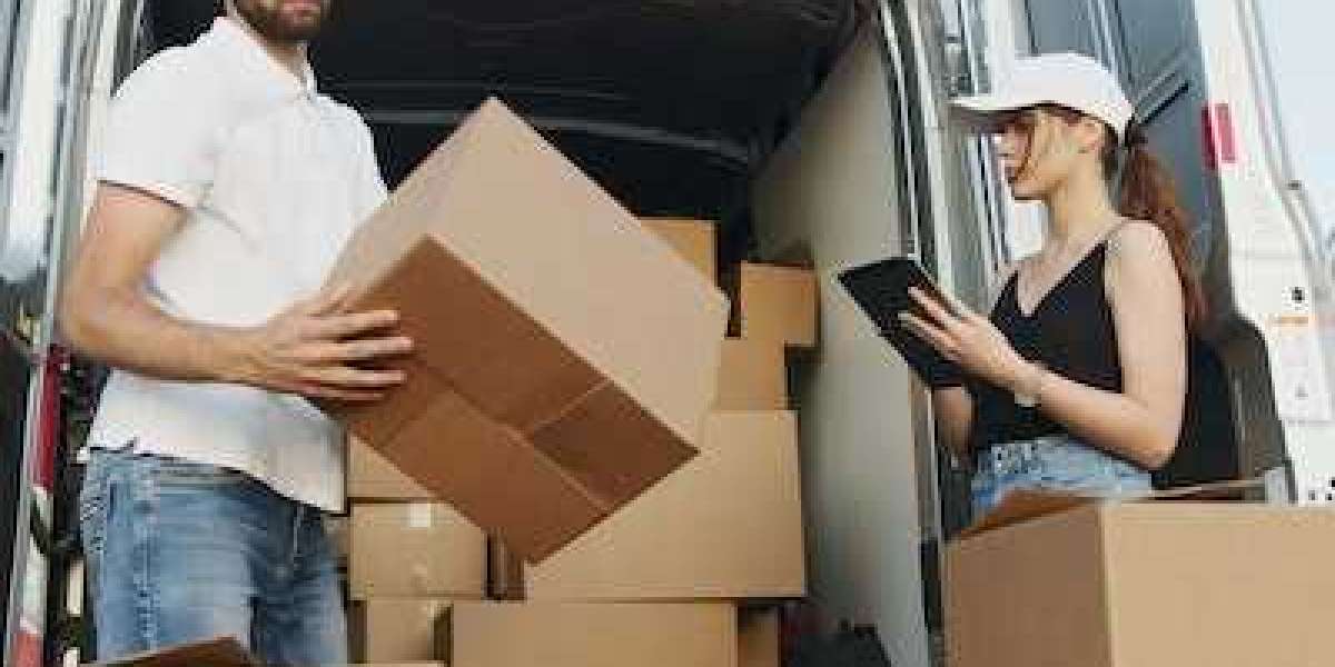 Professional Movers and Packers - The Perfect Solution for Your Move