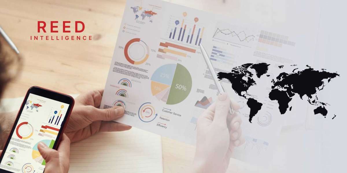 Mallets and Sledgehammers Market Seeking Growth From Emerging Study Drivers And Forecast 2031