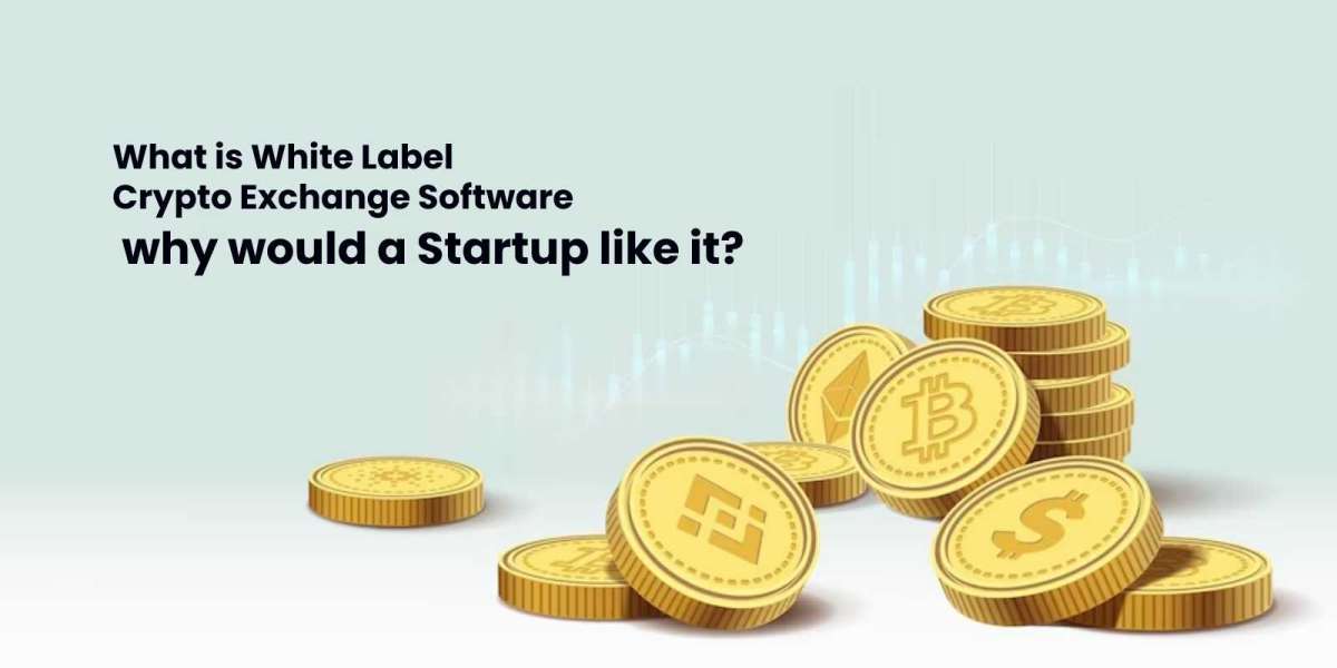 What is White Label Crypto Exchange Software, and why would a Startup like it?