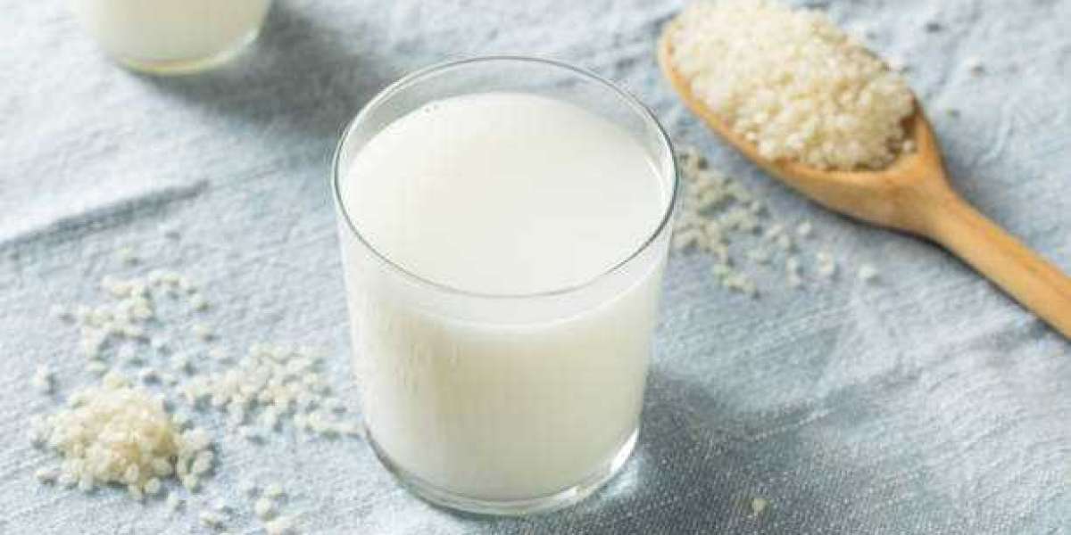 Rice Milk Market Share, Size, Analysis, Key Companies, and Forecast To 2030