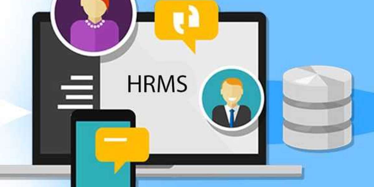 The complete HR Software Dashboard – HRMS Software Dubai