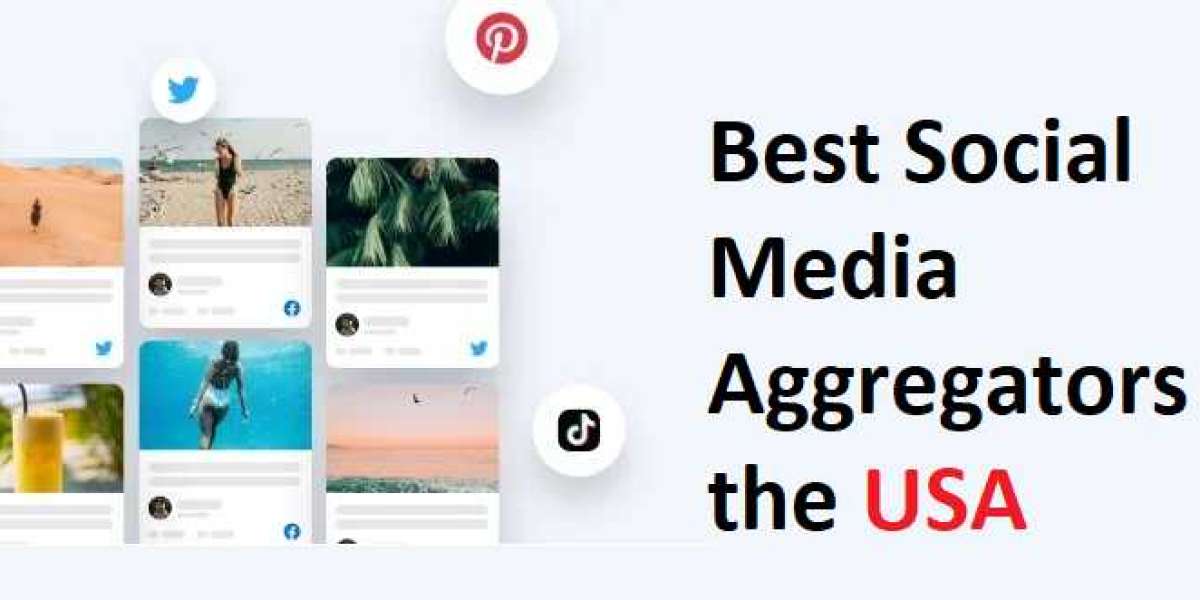 Best Social Media Aggregators in the USA