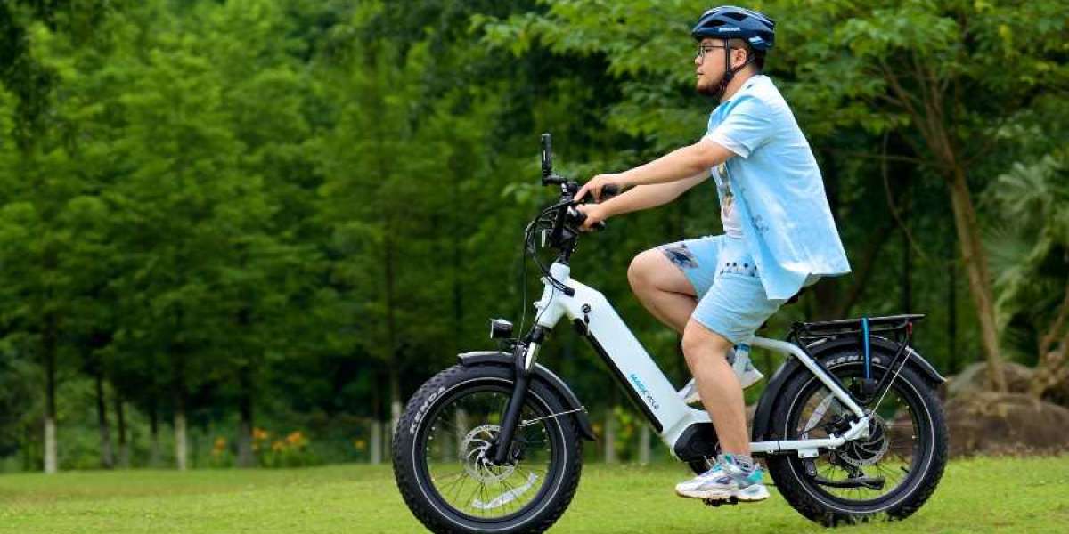 Everything You need to Know about Longest Range Ebike