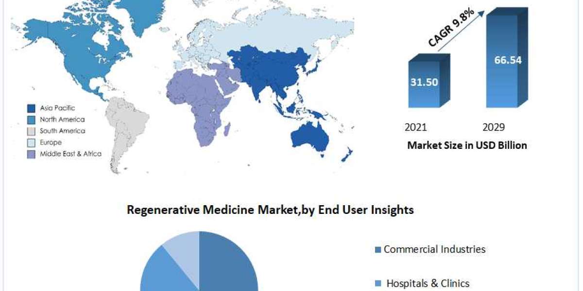 Global Regenerative Medicine Market Leaders, Growth, Business, Opportunities, Future Trends And Forecast 2029