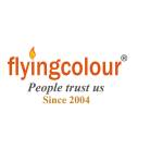 Flyingcolour Accounting Services Dubai