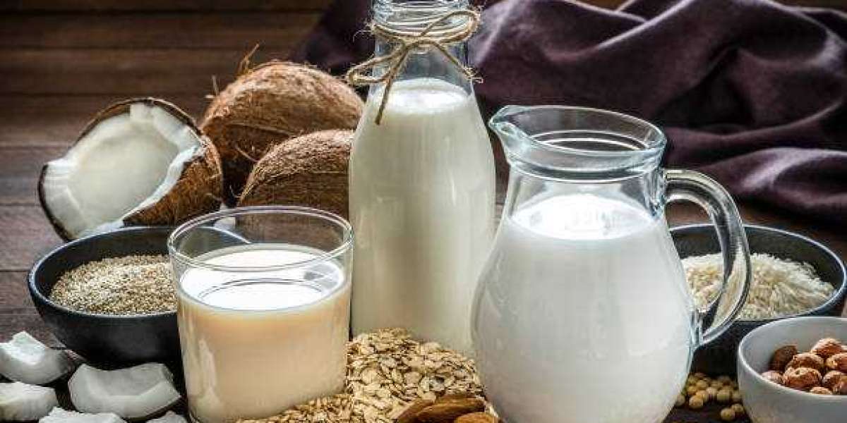 Dairy By-Products Market Share, Size, Analysis, Key Companies, and Forecast To 2030