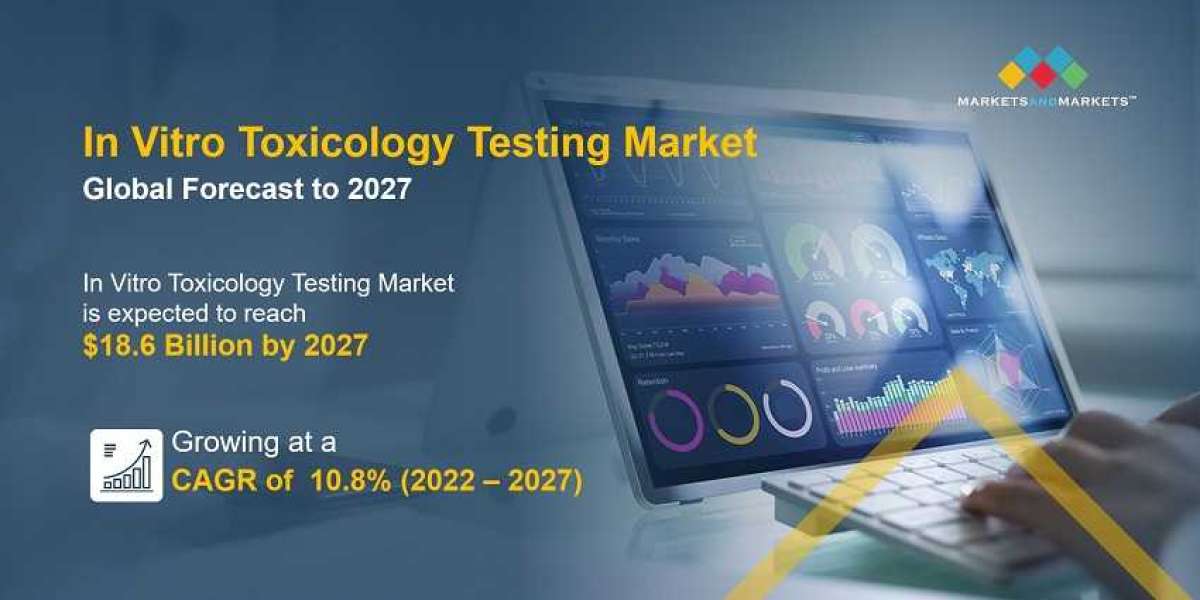 In Vitro Toxicology Testing Market: Key Players and Future Growth Potential