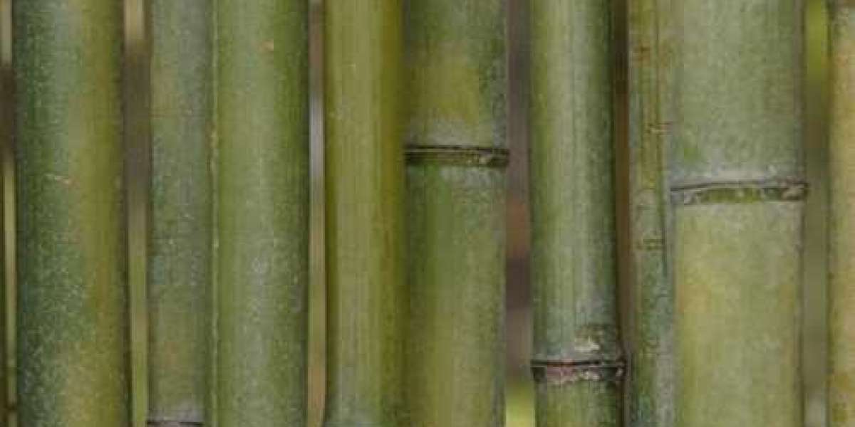 How to Sand Bamboo Sticks: A Step-by-Step Guide