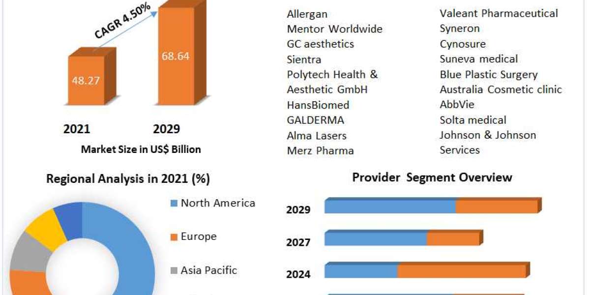 Cosmetic Surgery Market Size, Share, Growth, Trends And Industry Strategies