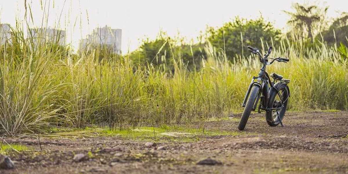 How To Choose Between Hardtail And Full Suspension Ebikes