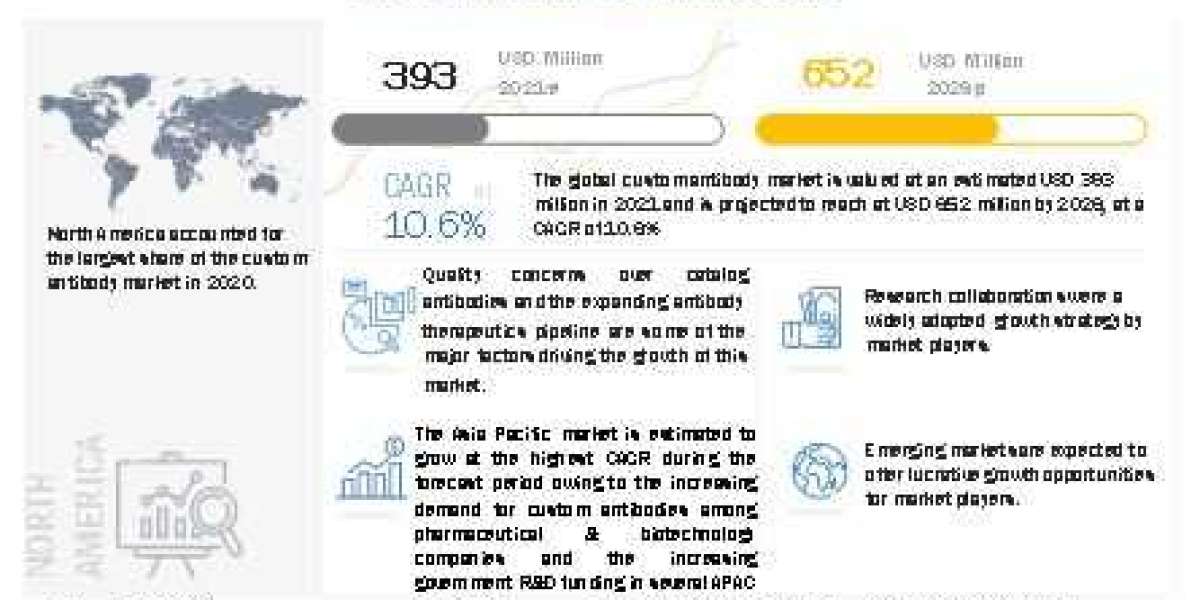 Global Custom Antibody Market Size, Industry Analysis and Forecast (2023-2028) by Type, Modality, Technology, Applicatio