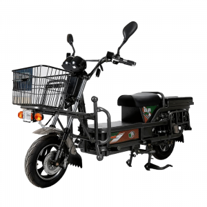 Electric Scooty | Electric Scooty Manufacturers in India