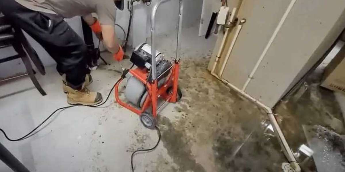 Examine the Key Elements of Flooded Basement Restoration