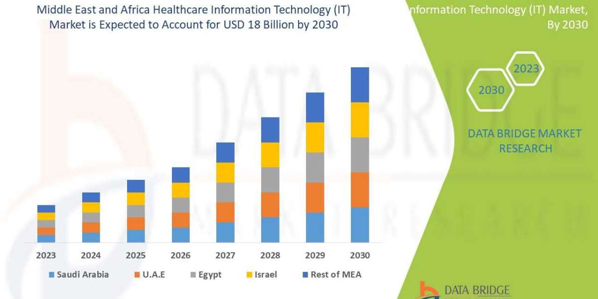 Middle East and Africa Healthcare IT Market Analysis by Application, Types, Region and Business Growth Drivers